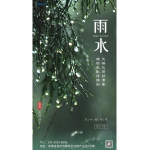 今日雨水——春风携春雨、万物萌新生